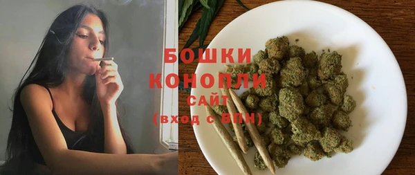 метадон Лагань