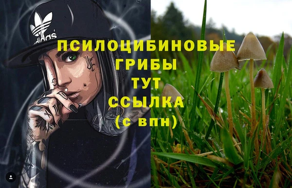 метадон Лагань