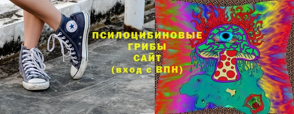 метадон Тавда
