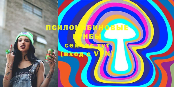 метадон Тавда