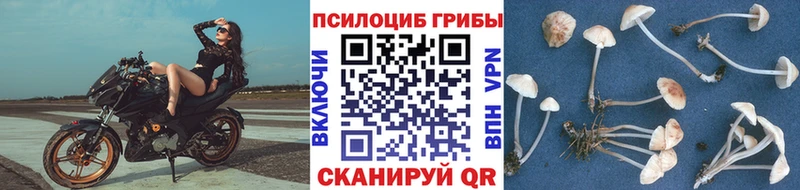 гидра ссылка  Еманжелинск  Псилоцибиновые грибы GOLDEN TEACHER 