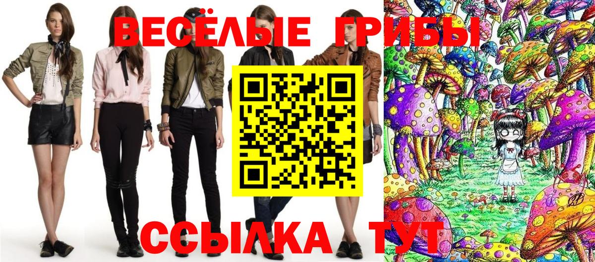 Псилоцибиновые грибы мухоморы  Еманжелинск  Галлюциногенные грибы Psilocybe 