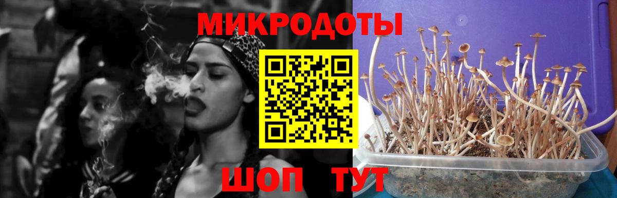 Галлюциногенные грибы MAGIC MUSHROOMS  Вход с VPN  Галлюциногенные грибы прущие грибы  Еманжелинск 